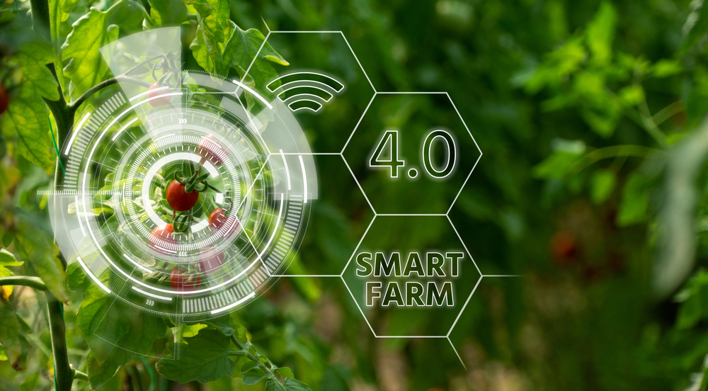 Agricultura digital no Brasil: a revolução dos algoritmos chega ao Campo