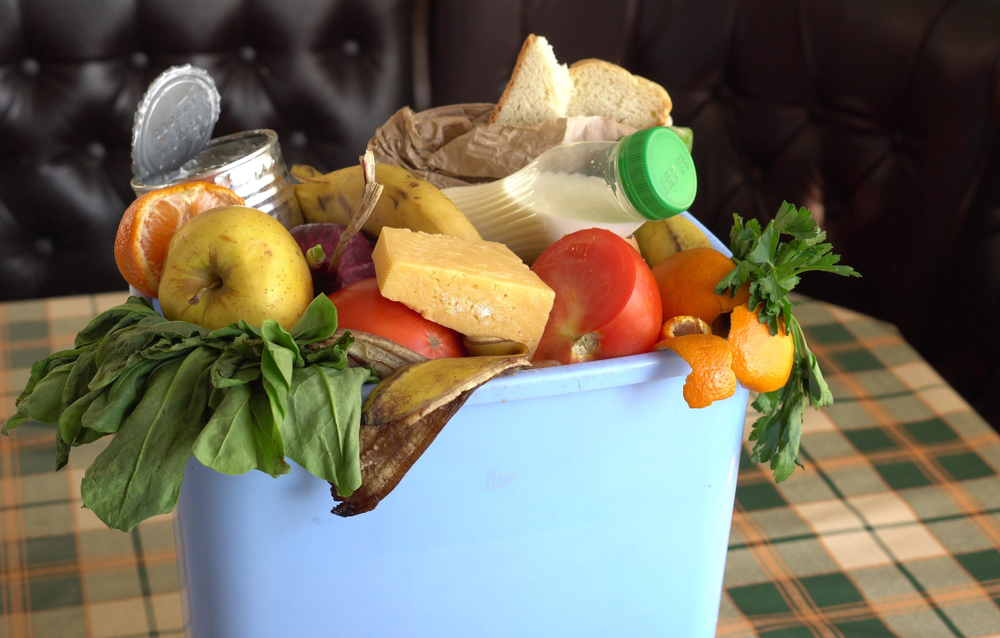 Desperdício de alimentos: do problema à oportunidade