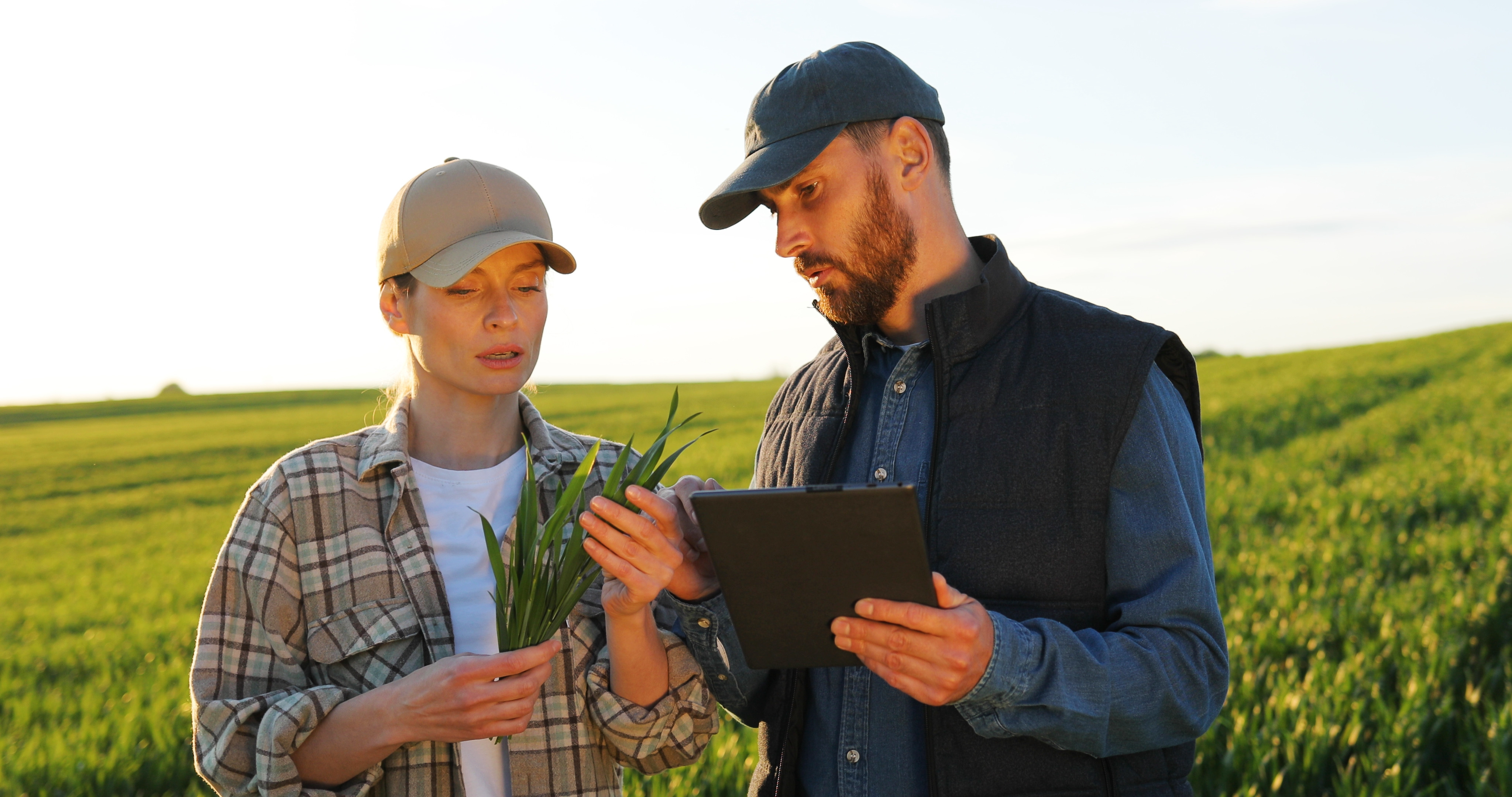 Soft Skills no Agro : A tecnologia substituirá o homem?