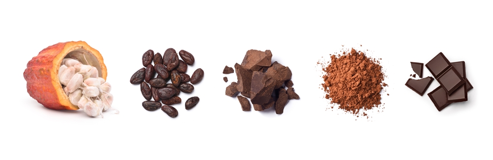 Bean to bar: o chocolate engajado e sustentável